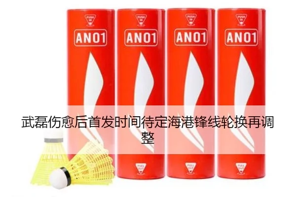 武磊伤愈后首发时间待定海港锋线轮换再调整